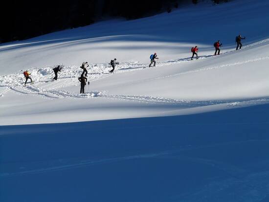 Première neige au Col du Lautaret - Desportes M.