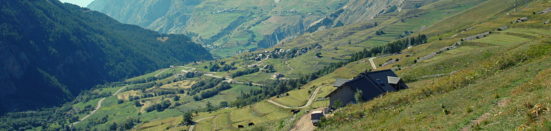 Alpages du Col du Lautaret - Ferme du Lautaret ©J.Selberg